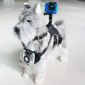 Pet Harness with Support for Sports Camera KSIX Black KSIX - 1